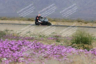 media/Feb-04-2023-SoCal Trackdays (Sat) [[8a776bf2c3]]/Turn 15 Inside Blooming (1050am)/